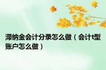 滞纳金会计分录怎么做（会计t型账户怎么做）