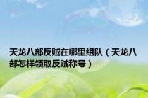 天龙八部反贼在哪里组队（天龙八部怎样领取反贼称号）