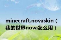 minecraft.novaskin（我的世界nova怎么用）