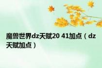 魔兽世界dz天赋20 41加点（dz天赋加点）