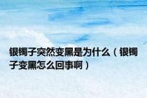 银镯子突然变黑是为什么（银镯子变黑怎么回事啊）