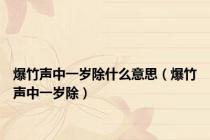 爆竹声中一岁除什么意思（爆竹声中一岁除）