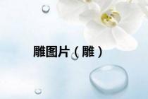 雕图片（雕）