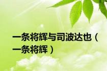 一条将辉与司波达也（一条将辉）