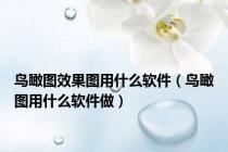鸟瞰图效果图用什么软件（鸟瞰图用什么软件做）