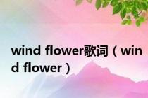 wind flower歌词（wind flower）