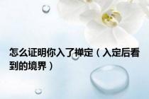 怎么证明你入了禅定（入定后看到的境界）