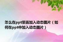 怎么在ppt里面加入动态图片（如何在ppt中加入动态图片）