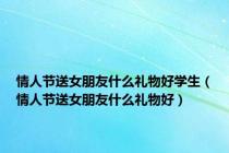 情人节送女朋友什么礼物好学生（情人节送女朋友什么礼物好）
