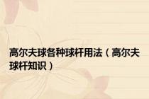 高尔夫球各种球杆用法（高尔夫球杆知识）