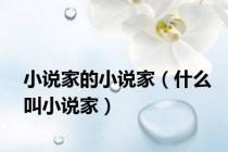 小说家的小说家（什么叫小说家）