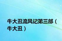 牛大丑流风记第三部（牛大丑）