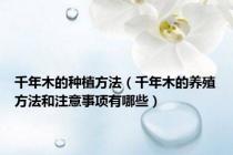 千年木的种植方法（千年木的养殖方法和注意事项有哪些）