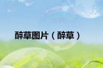 醉草图片（醉草）