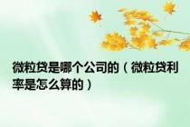 微粒贷是哪个公司的（微粒贷利率是怎么算的）