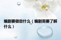 编剧要做些什么（编剧需要了解什么）