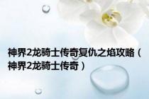 神界2龙骑士传奇复仇之焰攻略（神界2龙骑士传奇）