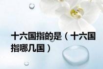 十六国指的是（十六国指哪几国）
