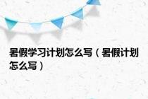 暑假学习计划怎么写（暑假计划怎么写）