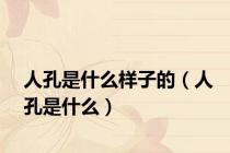人孔是什么样子的（人孔是什么）