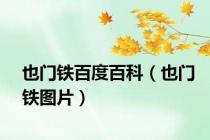 也门铁百度百科（也门铁图片）