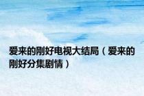 爱来的刚好电视大结局（爱来的刚好分集剧情）