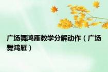 广场舞鸿雁教学分解动作（广场舞鸿雁）