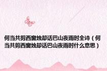 何当共剪西窗烛却话巴山夜雨时全诗（何当共剪西窗烛却话巴山夜雨时什么意思）