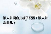 狼人杀混血儿板子配置（狼人杀混血儿）