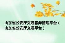 山东省公安厅交通服务管理平台（山东省公安厅交通平台）