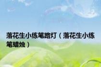落花生小练笔路灯（落花生小练笔蜡烛）