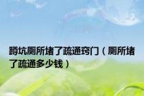 蹲坑厕所堵了疏通窍门（厕所堵了疏通多少钱）