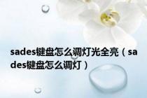 sades键盘怎么调灯光全亮（sades键盘怎么调灯）