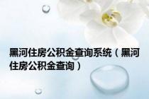 黑河住房公积金查询系统（黑河住房公积金查询）