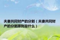 夫妻共同财产的分割（夫妻共同财产的分割原则是什么）