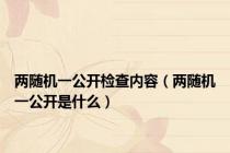 两随机一公开检查内容（两随机一公开是什么）