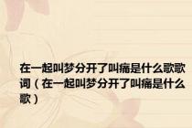 在一起叫梦分开了叫痛是什么歌歌词（在一起叫梦分开了叫痛是什么歌）