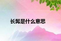 长髯是什么意思