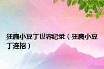 狂扁小豆丁世界纪录（狂扁小豆丁连招）