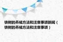 铁树的养殖方法和注意事项新闻（铁树的养殖方法和注意事项）