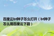 百度云bt种子怎么打开（bt种子怎么用百度云下载）