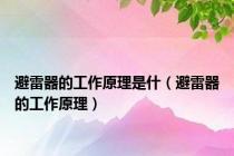 避雷器的工作原理是什（避雷器的工作原理）