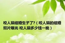咬人猫结婚生子了?（咬人猫的结婚照片曝光 咬人猫多少钱一晚）