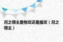 月之领主是物攻还是魔攻（月之领主）