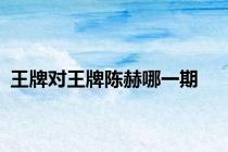 王牌对王牌陈赫哪一期