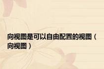 向视图是可以自由配置的视图（向视图）