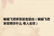 蝙蝠飞进家里是吉是凶（蝙蝠飞进家里预示什么 老人去世）