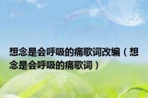 想念是会呼吸的痛歌词改编（想念是会呼吸的痛歌词）
