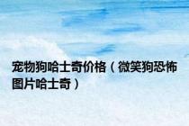 宠物狗哈士奇价格（微笑狗恐怖图片哈士奇）