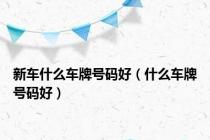 新车什么车牌号码好（什么车牌号码好）